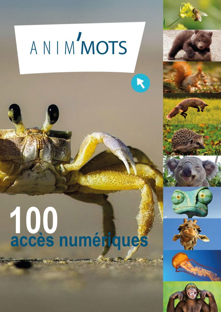 Anim'Mots : 100 accès numériques